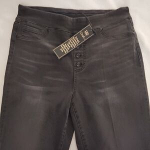 DG2 by Diane Gilman Slate Gray Jeggings